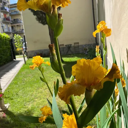 Apartment Dalu Davide - Private Car Park 15 Minutes To The Center *